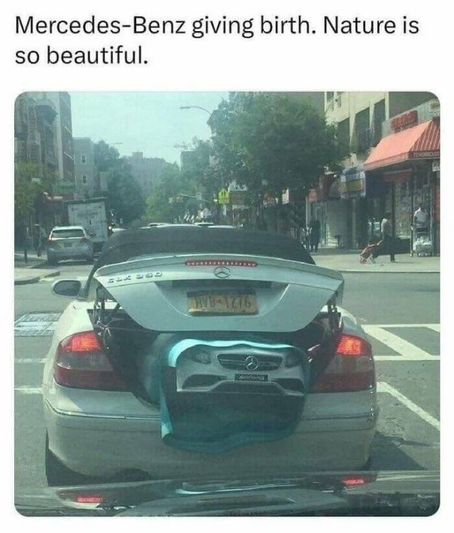 Truthful Memes (19 pics)