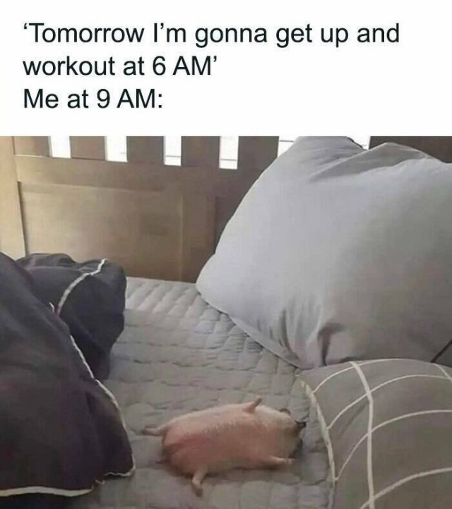 Truthful Memes (19 pics)