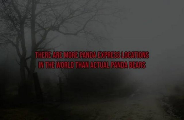 Creepy Facts (15 pics)