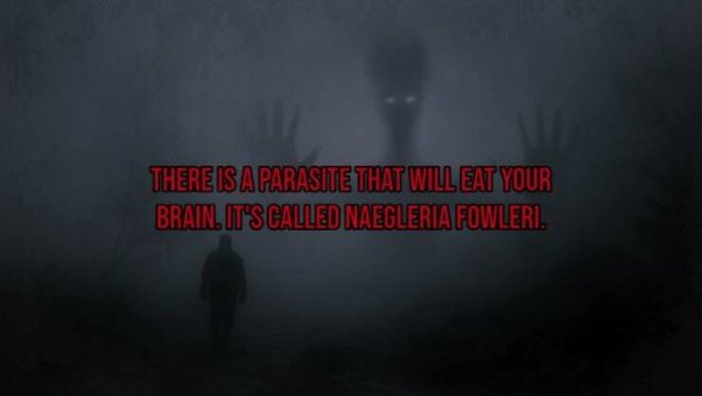 Creepy Facts (15 pics)