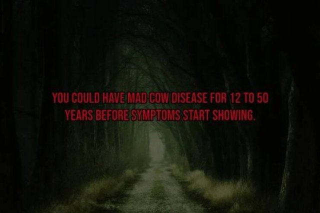 Creepy Facts (15 pics)