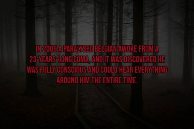 Creepy Facts (15 pics)