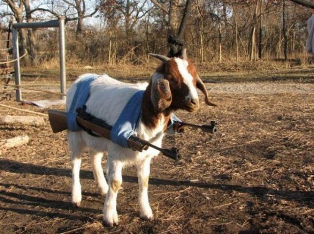 What Is Going On Here? (28 pics)