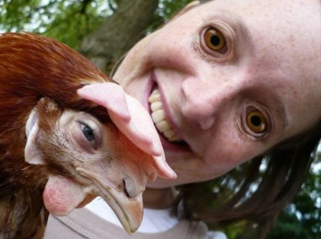 What Is Going On Here? (28 pics)