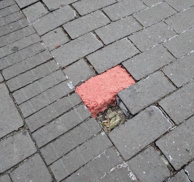 What Is Going On Here? (28 pics)