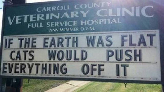 Funny Signs (25 pics)