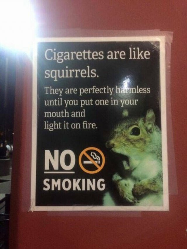 Funny Signs (25 pics)