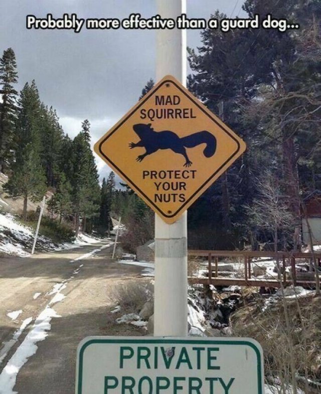 Funny Signs (25 pics)
