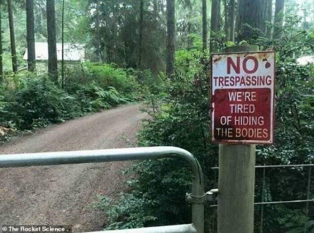 Funny Signs (25 pics)