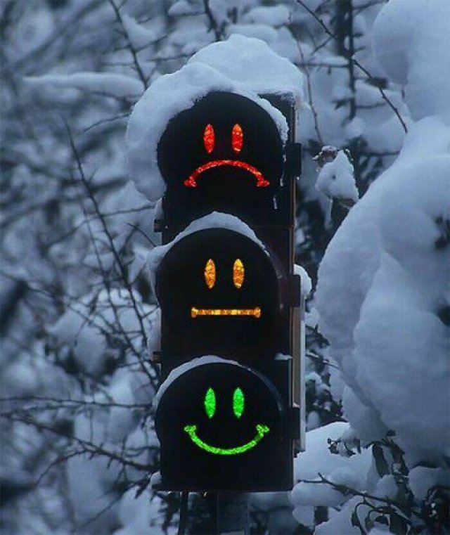 Funny Signs (25 pics)