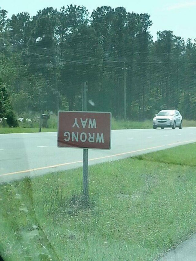 Funny Signs (25 pics)