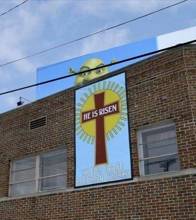 Funny Signs (25 pics)