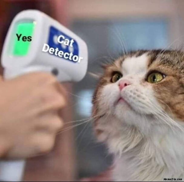 Funny Memes (24 pics)
