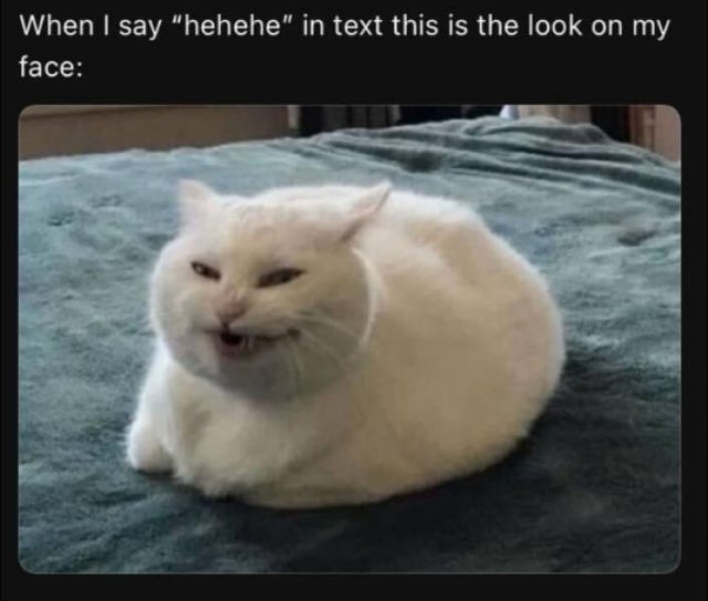 Funny Memes (24 pics)