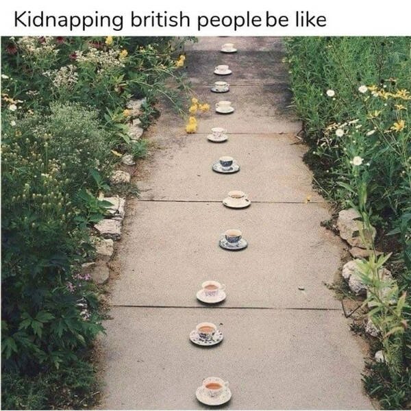 Funny Memes (24 pics)
