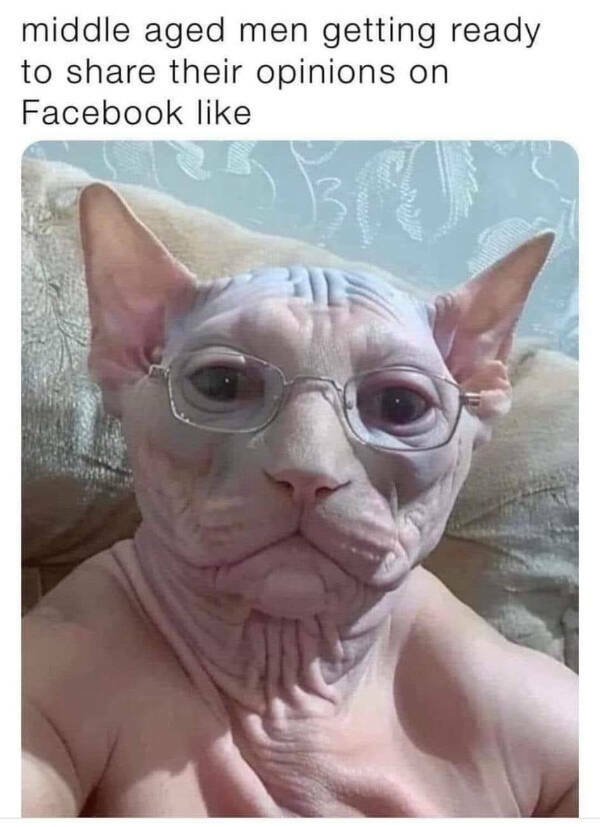 Funny Memes (24 pics)