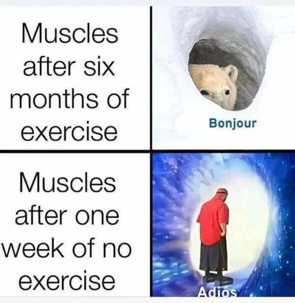 Funny Memes (24 pics)