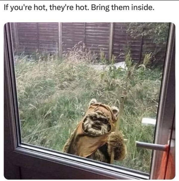 Funny Memes (24 pics)