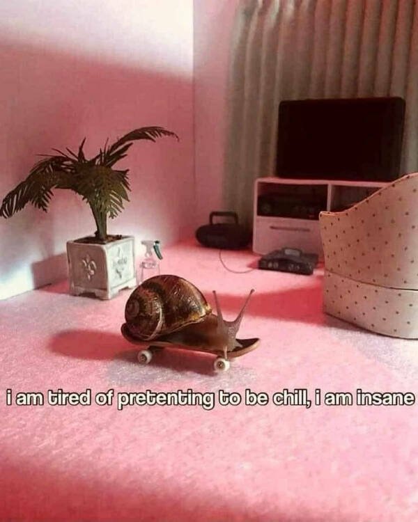Funny Memes (24 pics)