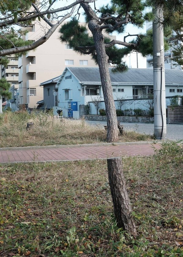 Right Moment (26 pics)