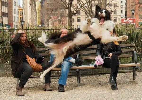 Right Moment (26 pics)