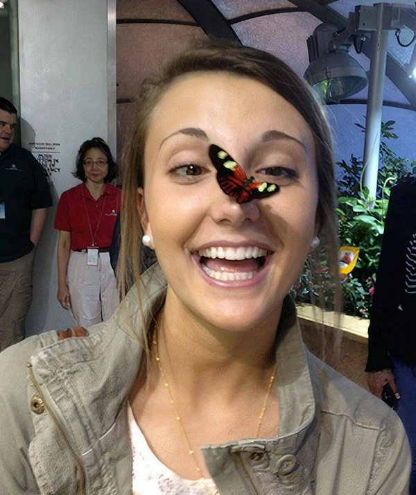 Right Moment (26 pics)