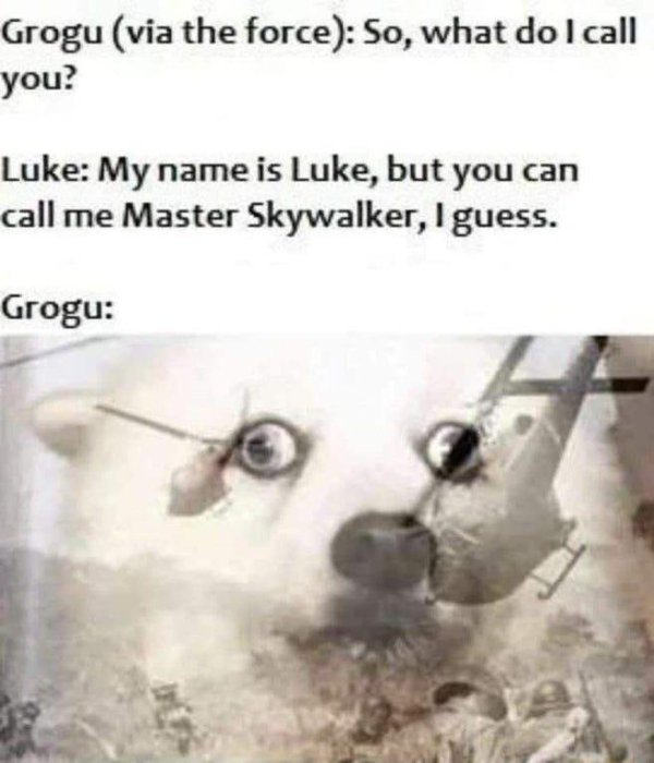 ''Star Wars'' Memes (28 pics)