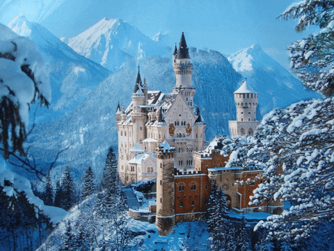 Random Facts (15 gifs) Random Facts (15 gifs)