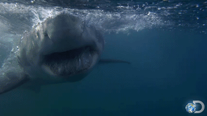 Scary Thoughts (15 gifs) Scary Thoughts (15 gifs)