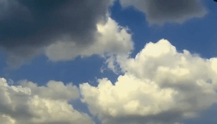 Random Facts (15 gifs) Random Facts (15 gifs)