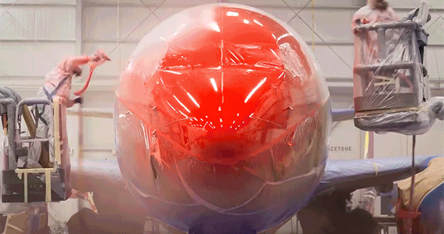 Random Facts (15 gifs) Random Facts (15 gifs)