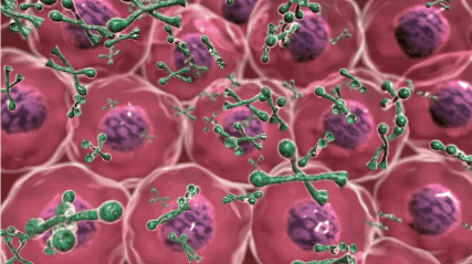 Random Facts (15 gifs) Random Facts (15 gifs)