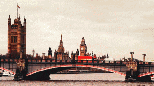 Random Facts (15 gifs) Random Facts (15 gifs)