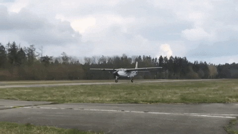 Random Facts (15 gifs) Random Facts (15 gifs)