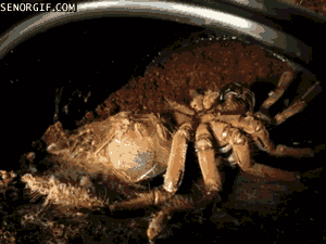 Scary Thoughts (15 gifs) Scary Thoughts (15 gifs)