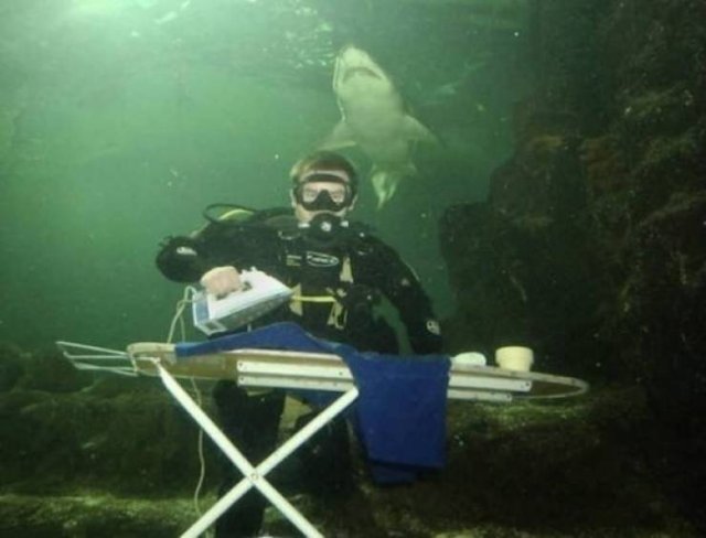 What Is Going On Here? (25 pics)