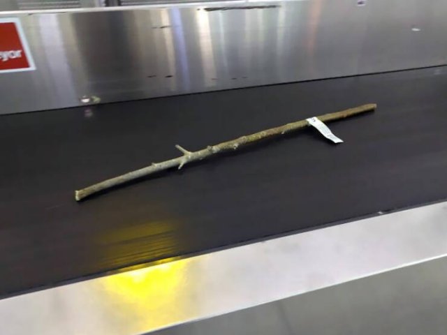 Unusual Finds In Airports (24 pics)