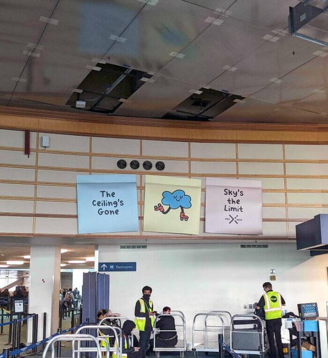 Unusual Finds In Airports (24 pics)