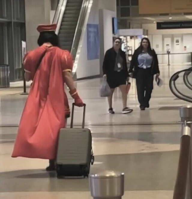 Unusual Finds In Airports (24 pics)