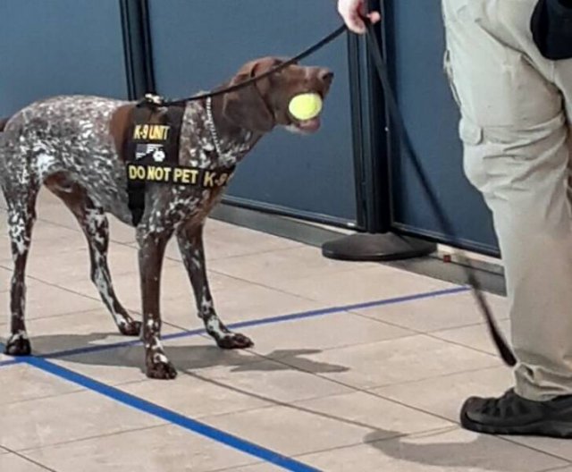 Unusual Finds In Airports (24 pics)