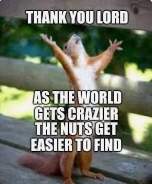Funny Memes (23 pics)