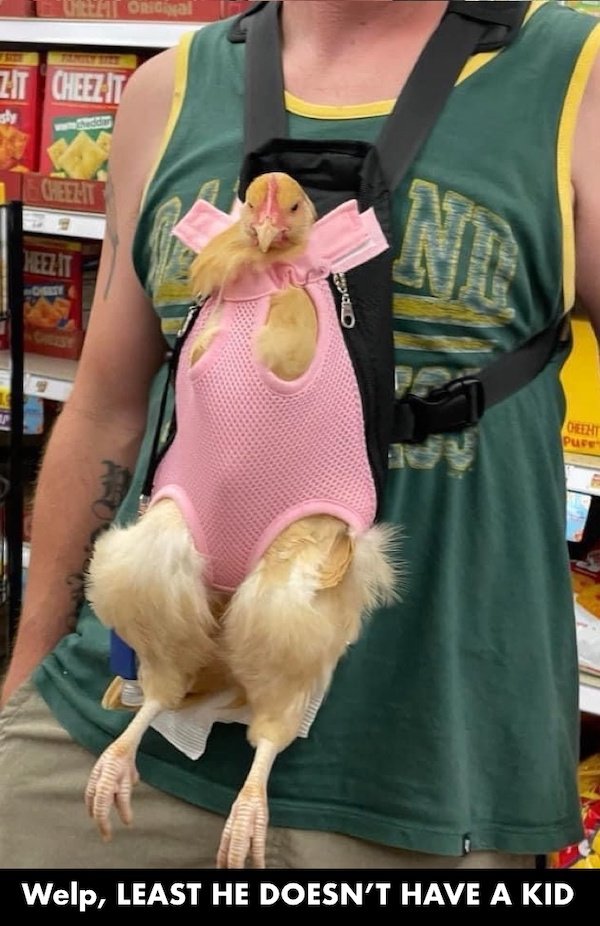 Funny Memes (23 pics)