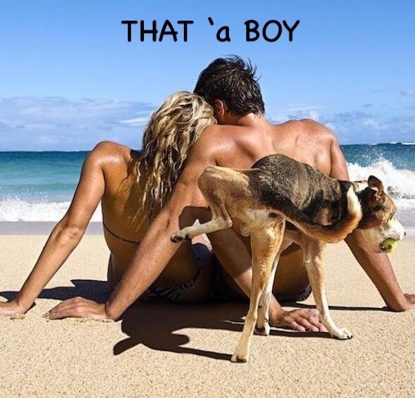 Funny Memes (23 pics)
