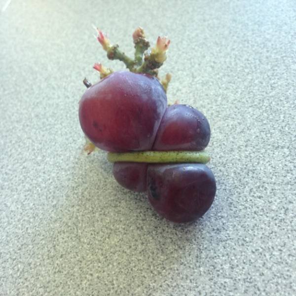 Strange Groceries (18 pics)