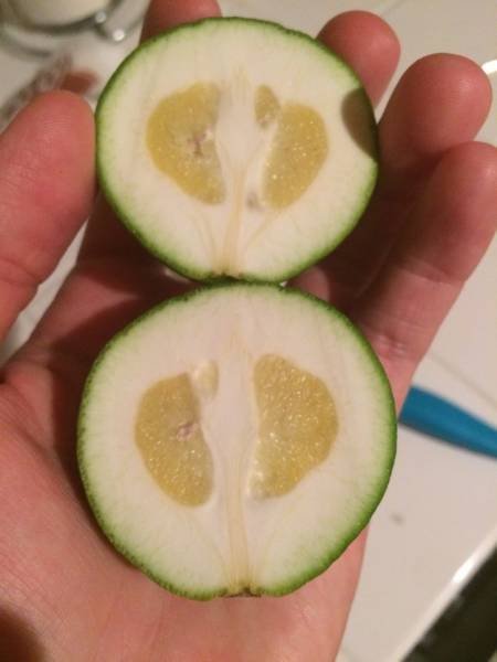 Strange Groceries (18 pics)