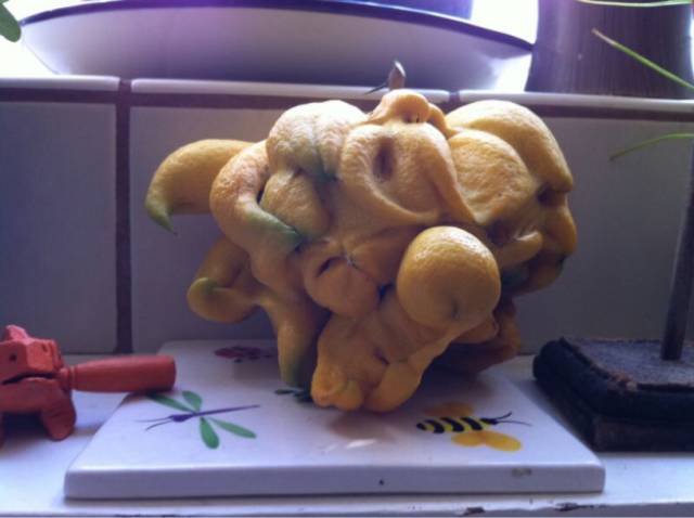 Strange Groceries (18 pics)