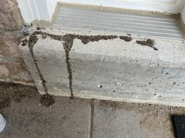 Interesting Finds (20 pics)