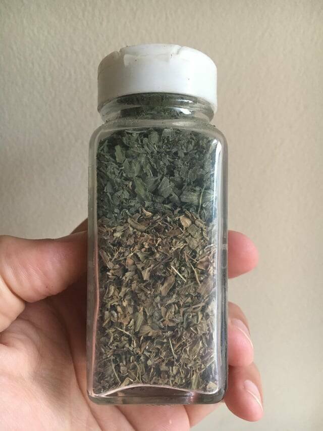 Interesting Finds (20 pics)