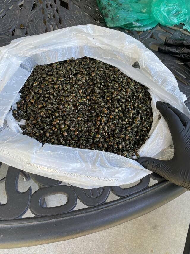 Interesting Finds (20 pics)