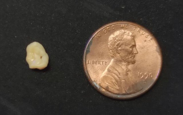 Interesting Finds (20 pics)